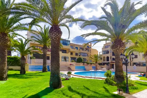 Korter / bangalo — Torrevieja – Torreblanca, Hispaania