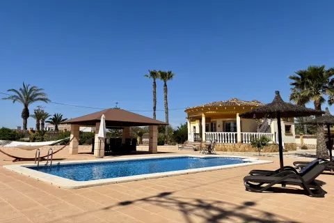 Villa Catral, sīktēls 9