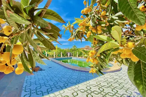 Villa Torrevieja, sīktēls 2