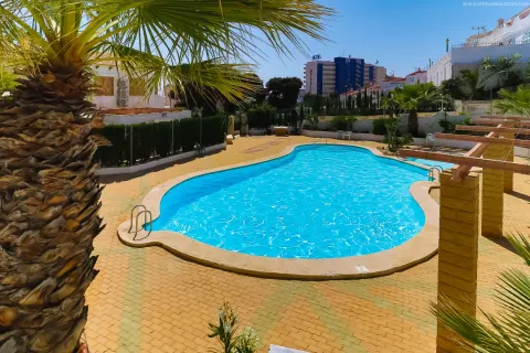 Kotedžas Torrevieja, miniatiūra 7