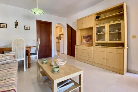 Butas Torrevieja, miniatiūra 8