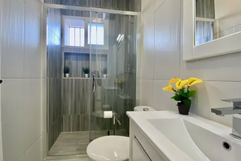 Vila Torrevieja, miniatiūra 15