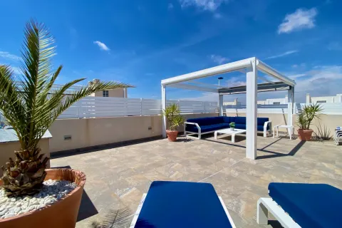 Butas Torrevieja, miniatiūra 7