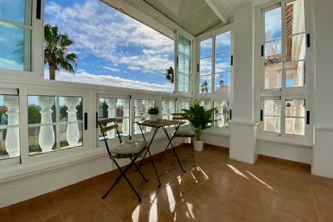 Villa Torrevieja, sīktēls 15