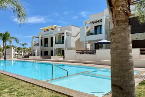 Butas Torrevieja, miniatiūra 2
