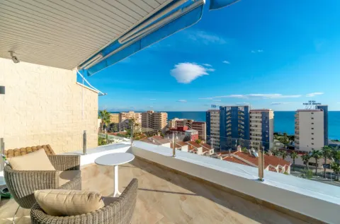 Villa Torrevieja, sīktēls 4