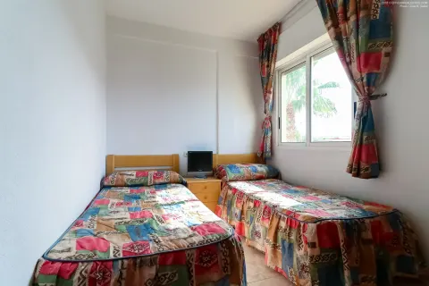 Kotedžas Torrevieja, miniatiūra 11