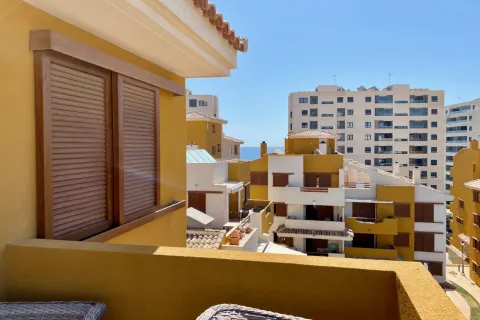 Butas Orihuela Costa, miniatiūra 9