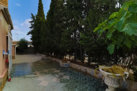 Villa Torrevieja, sīktēls 10