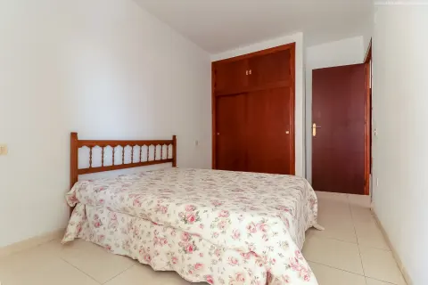 Butas Torrevieja, miniatiūra 6