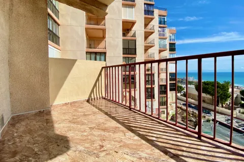 Butas Torrevieja, miniatiūra 9