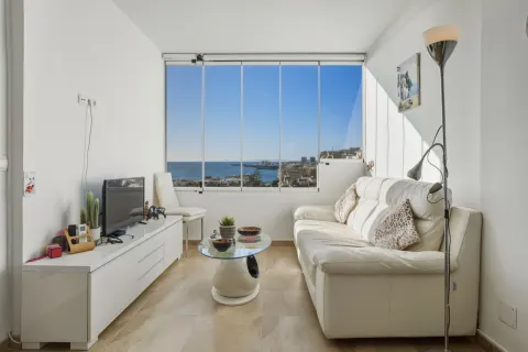 Butas Torrevieja, miniatiūra 6