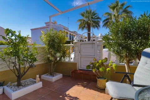 Kotedžas Torrevieja, miniatiūra 11