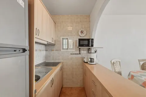 Butas Torrevieja, miniatiūra 9