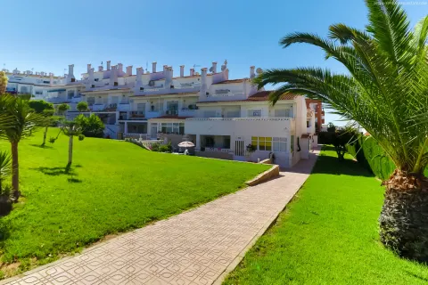 Kotedžas Torrevieja, miniatiūra 3