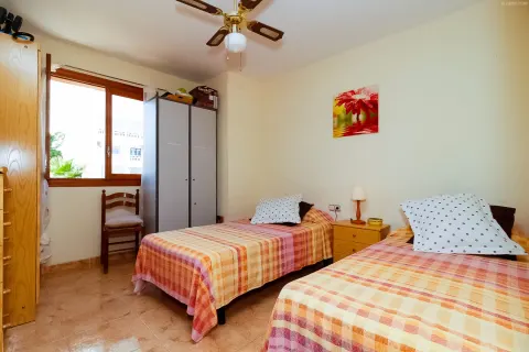 Butas Torrevieja, miniatiūra 8
