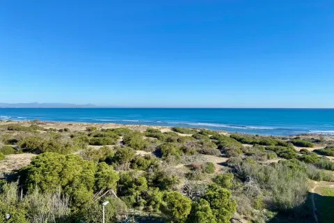 Dzīvoklis Torrevieja, sīktēls 11