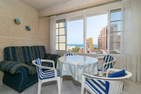 Butas Torrevieja, miniatiūra 5