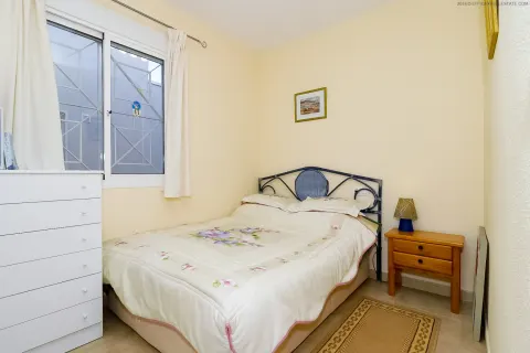 Butas Torrevieja, miniatiūra 11