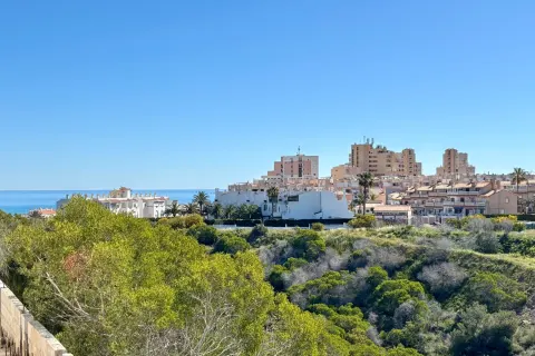 Butas Torrevieja, miniatiūra 7