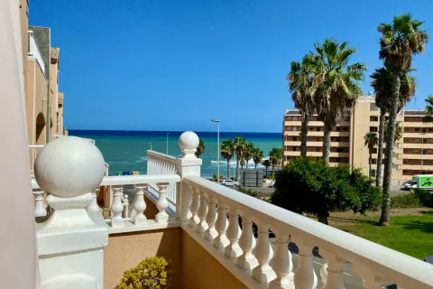 Kotedžas Torrevieja, miniatiūra 11
