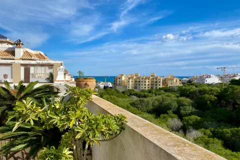 Vila Torrevieja, miniatiūra 9