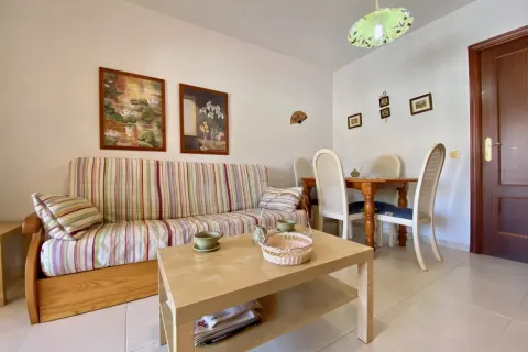 Butas Torrevieja, miniatiūra 9