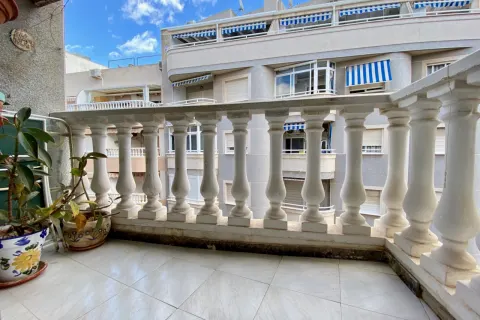 Butas Torrevieja, miniatiūra 3