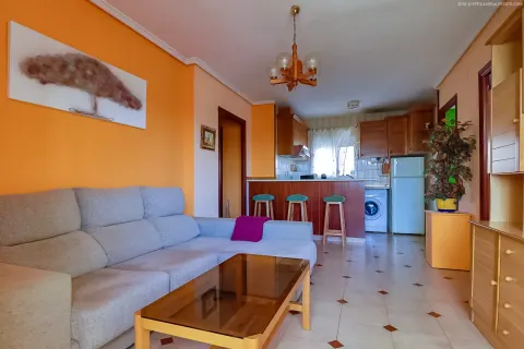 Butas Torrevieja, miniatiūra 10
