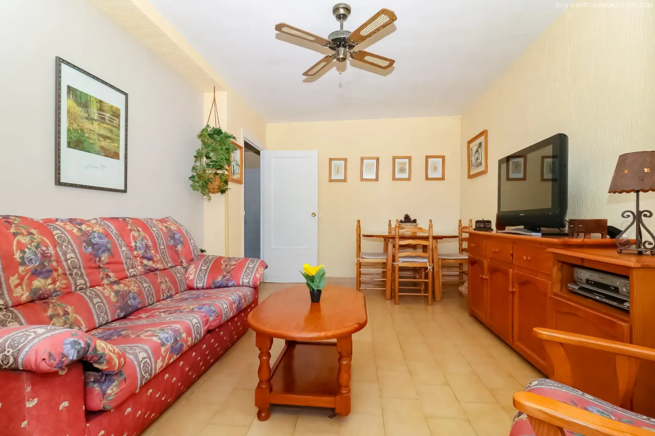 Butas / bungalas — Torrevieja – Torreblanca, nuotrauka 1 iš 10