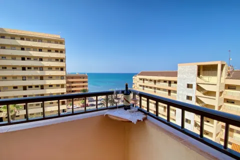 Butas Torrevieja, miniatiūra 10