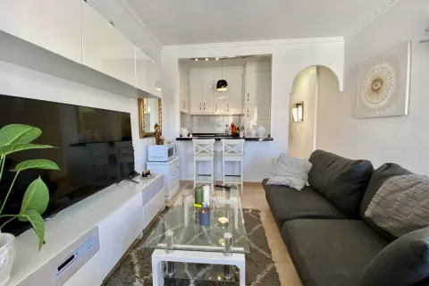 Butas Torrevieja, miniatiūra 2