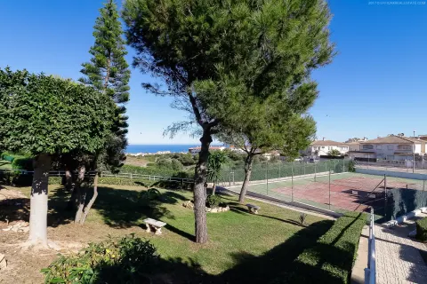 Butas Torrevieja, miniatiūra 3