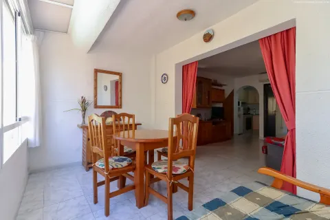 Butas Torrevieja, miniatiūra 8
