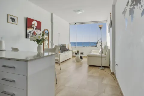 Butas Torrevieja, miniatiūra 8