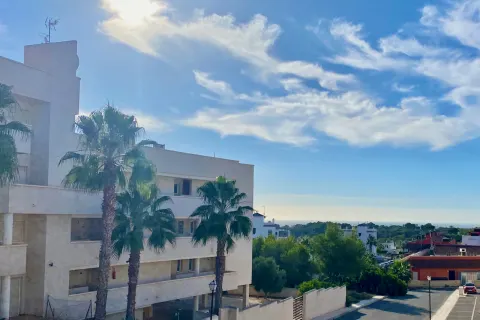 Butas Orihuela Costa, miniatiūra 14