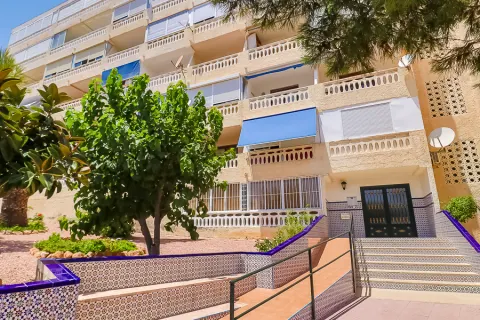 Butas Torrevieja, miniatiūra 6