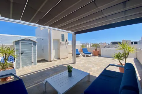Butas Torrevieja, miniatiūra 13