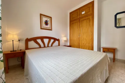 Butas Torrevieja, miniatiūra 15