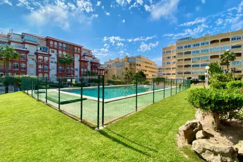 Butas Torrevieja, miniatiūra 5
