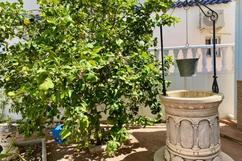Kotedžas Torrevieja, miniatiūra 12