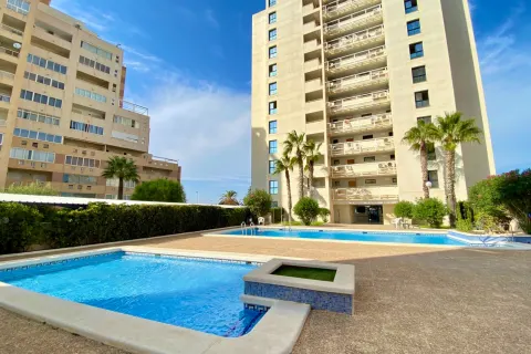 Butas Torrevieja, miniatiūra 4
