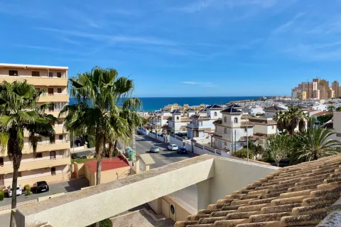 Butas Torrevieja, miniatiūra 5