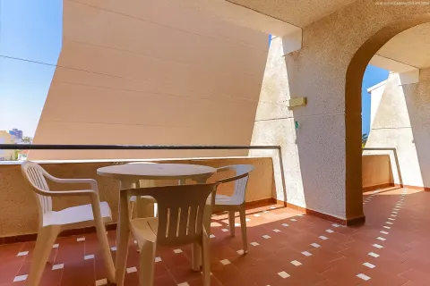 Butas Torrevieja, miniatiūra 2