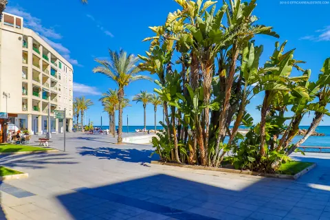 Butas Torrevieja, miniatiūra 12