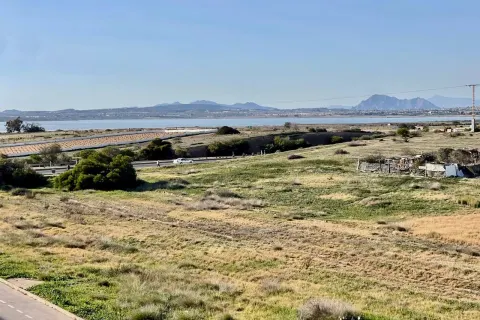 Butas Torrevieja, miniatiūra 2