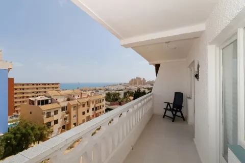 Butas Torrevieja, miniatiūra 2