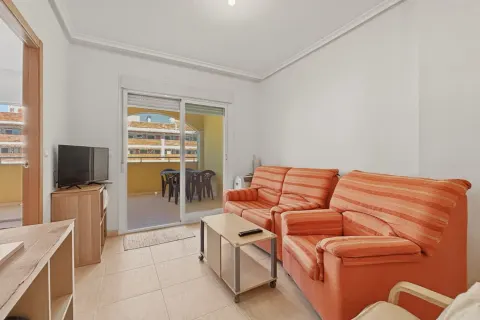 Butas Torrevieja, miniatiūra 8