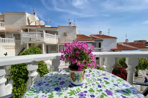 Kotedžas Torrevieja, miniatiūra 11