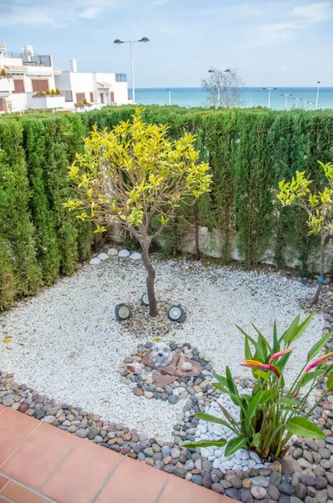 Butas Torrevieja, miniatiūra 14